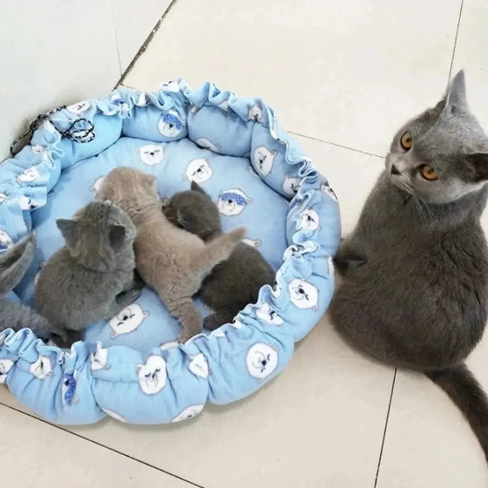 coussin douillet pour chat