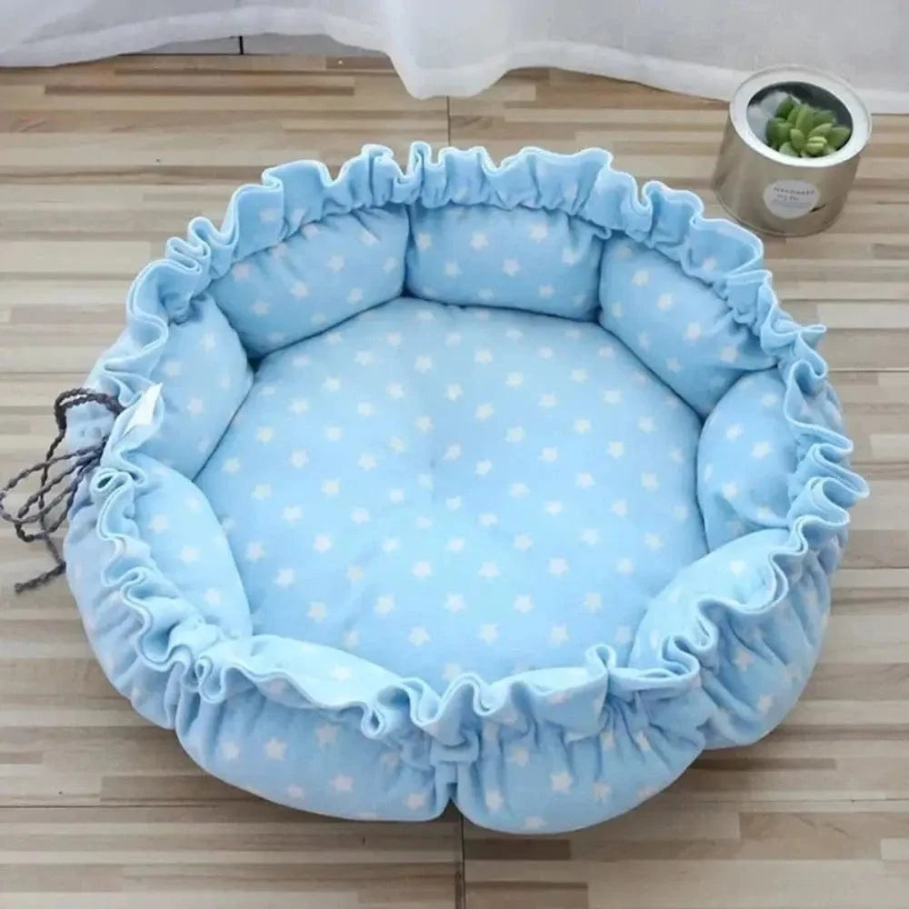 coussin design chat