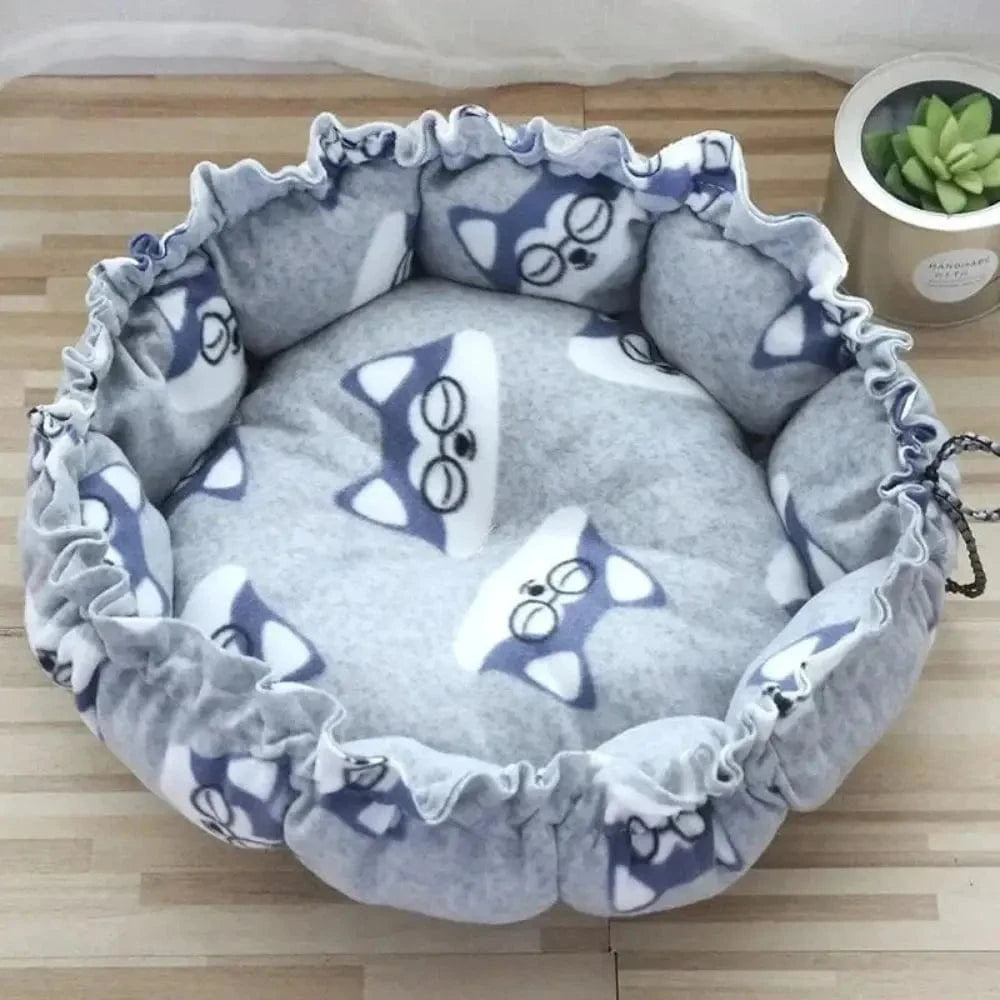 espace détente chat