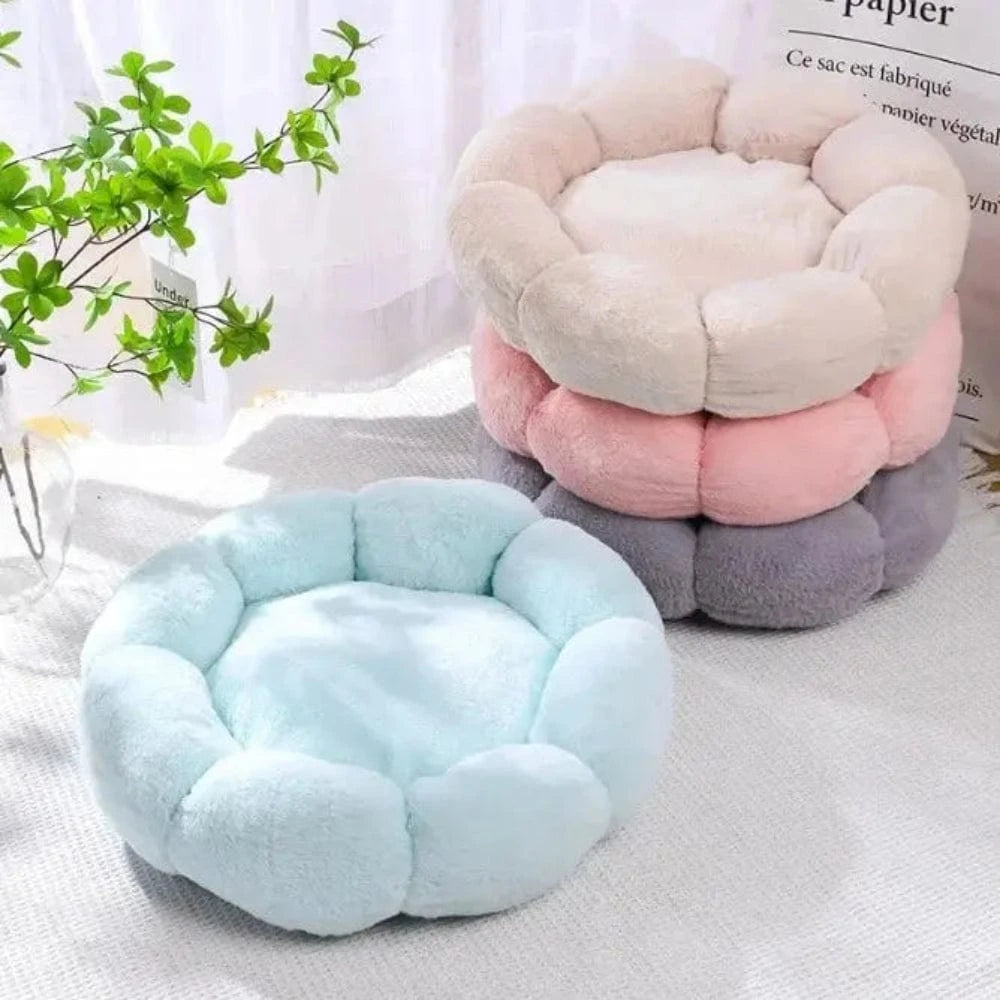 Panier chat forme fleur