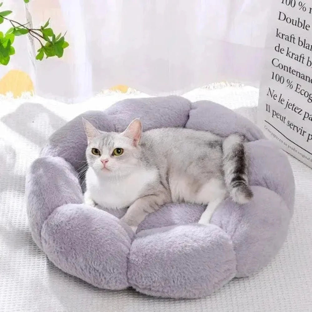 Cocon de douceur pour chat