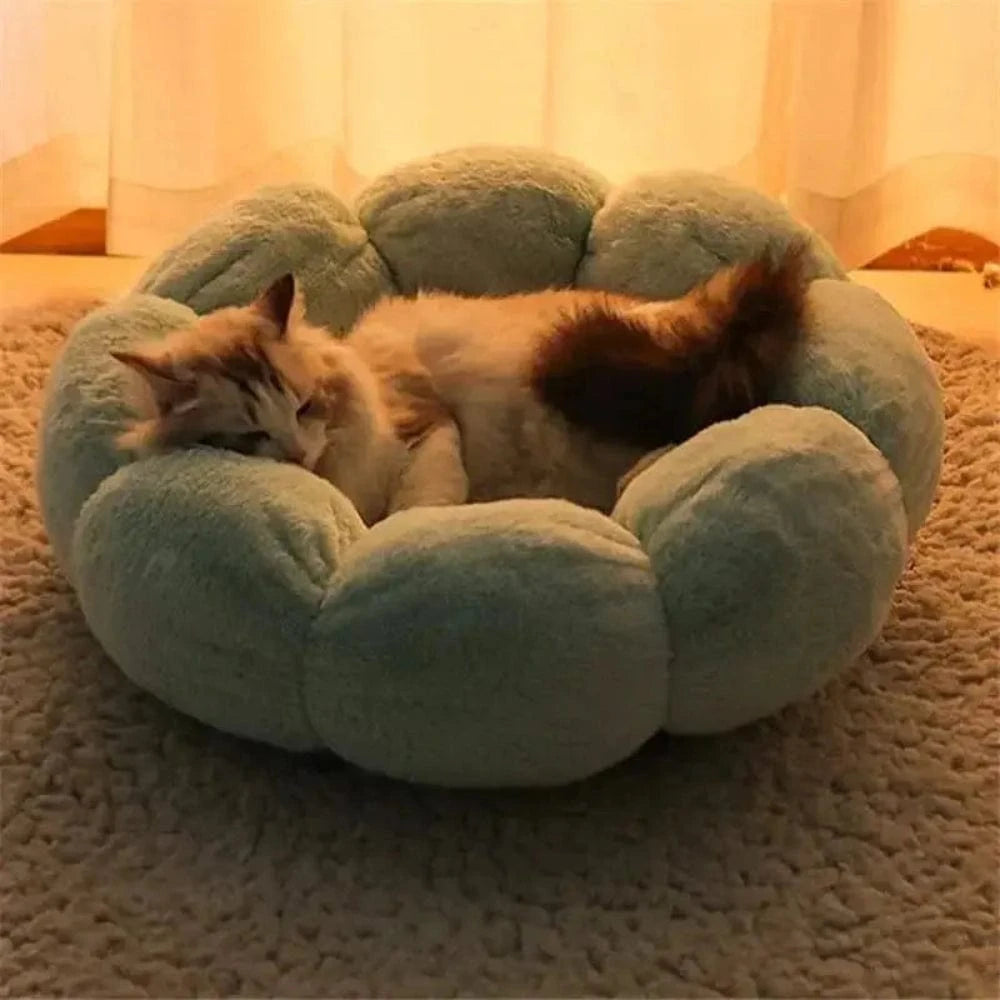 Lit chat PetalNes