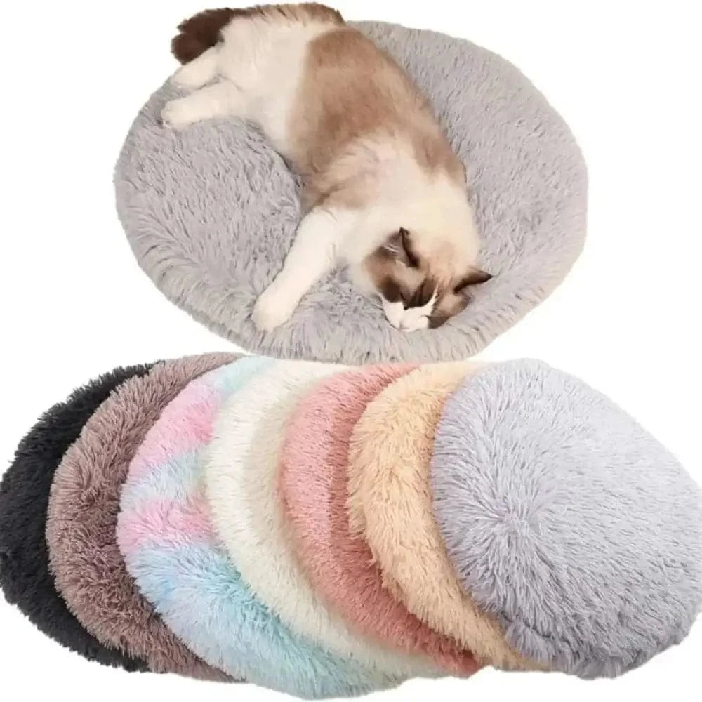 coussin rond moelleux pour chat
