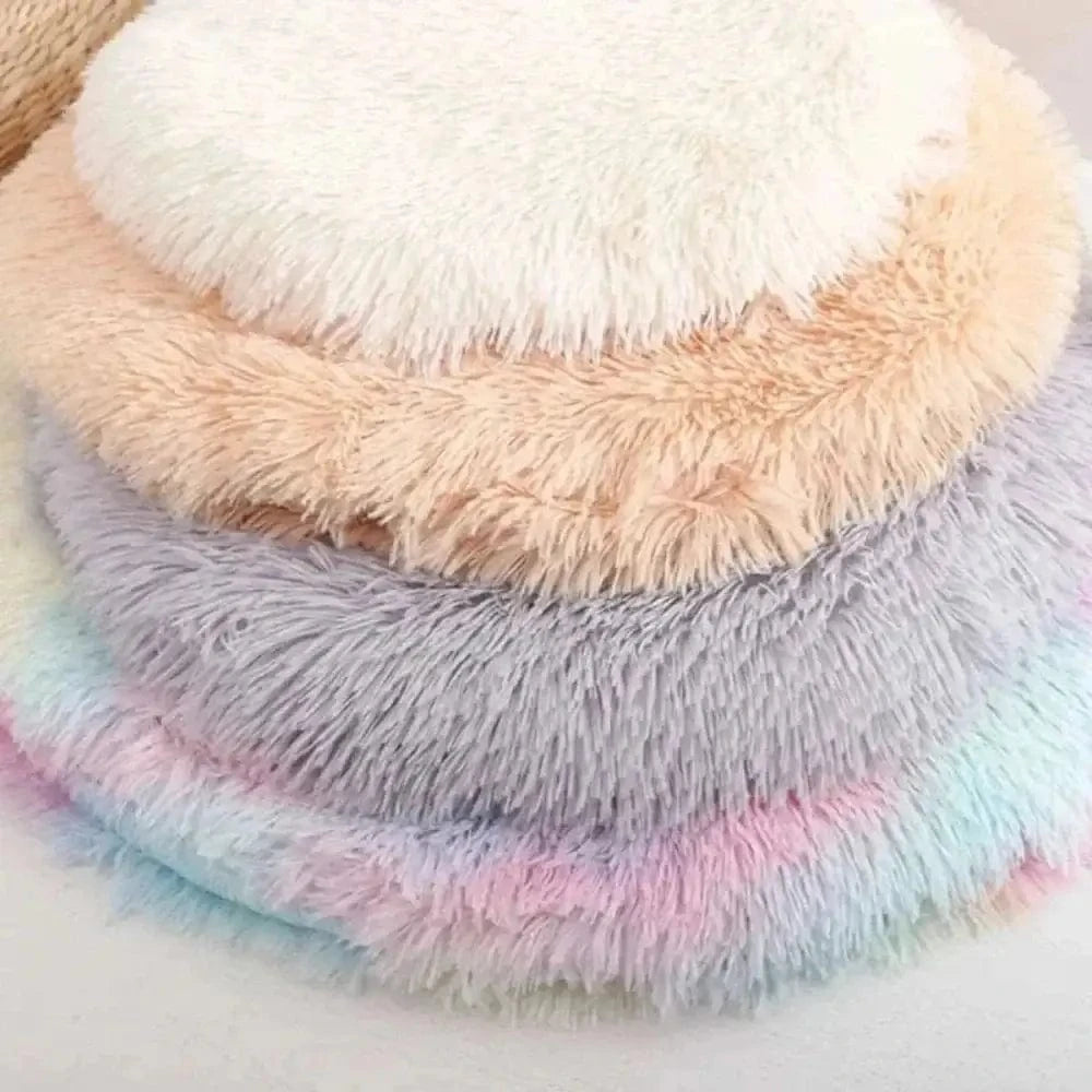 chat sur coussin DreamPaws