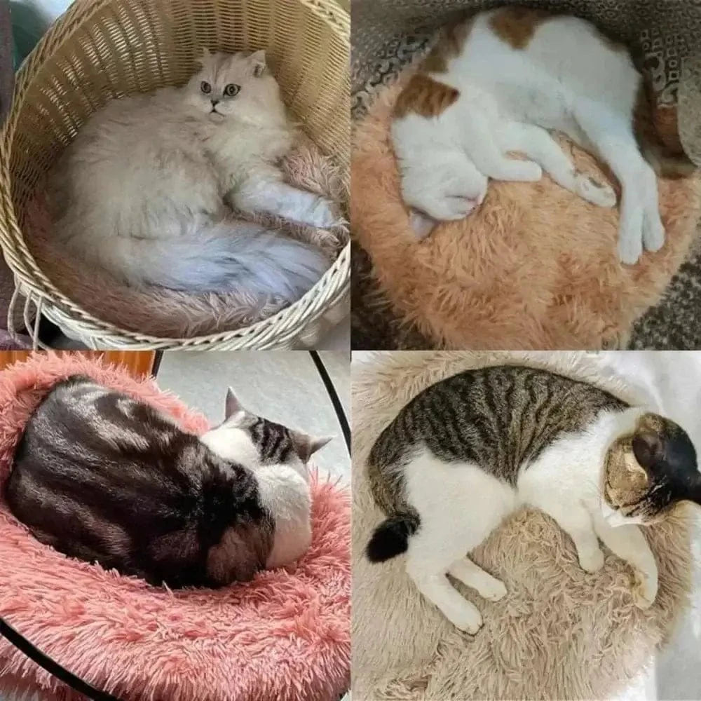 coussin apaisant pour félin