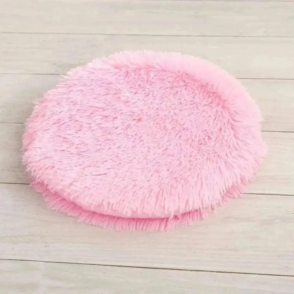 confort pour chat