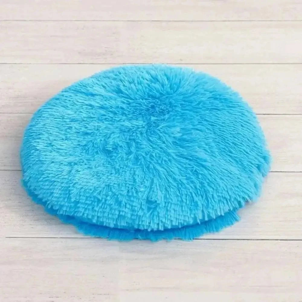 accessoire chat DreamPaws