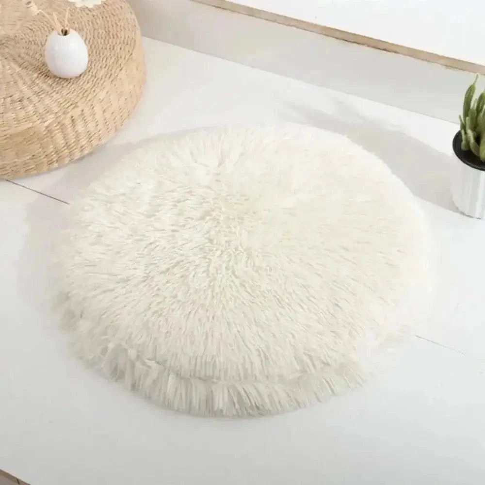 nid douillet pour chat