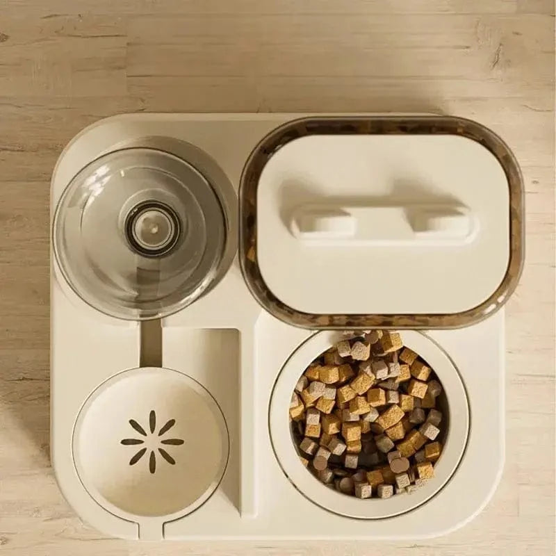 DuoMealy pour chat moderne