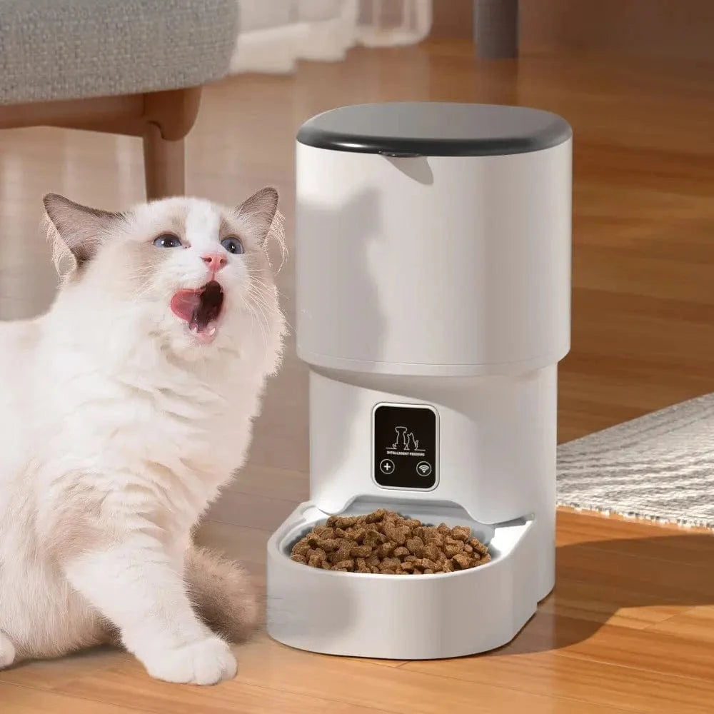 contrôle app pour chat