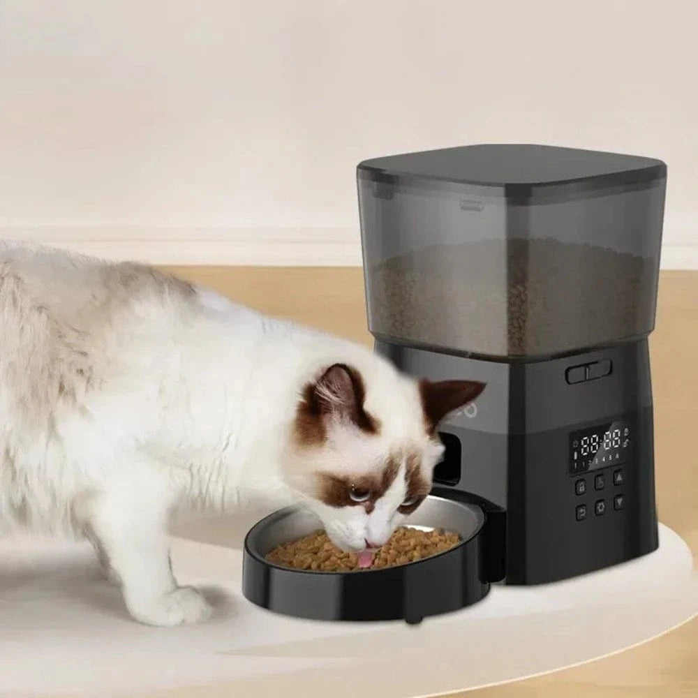 distributeur croquettes chat connecté