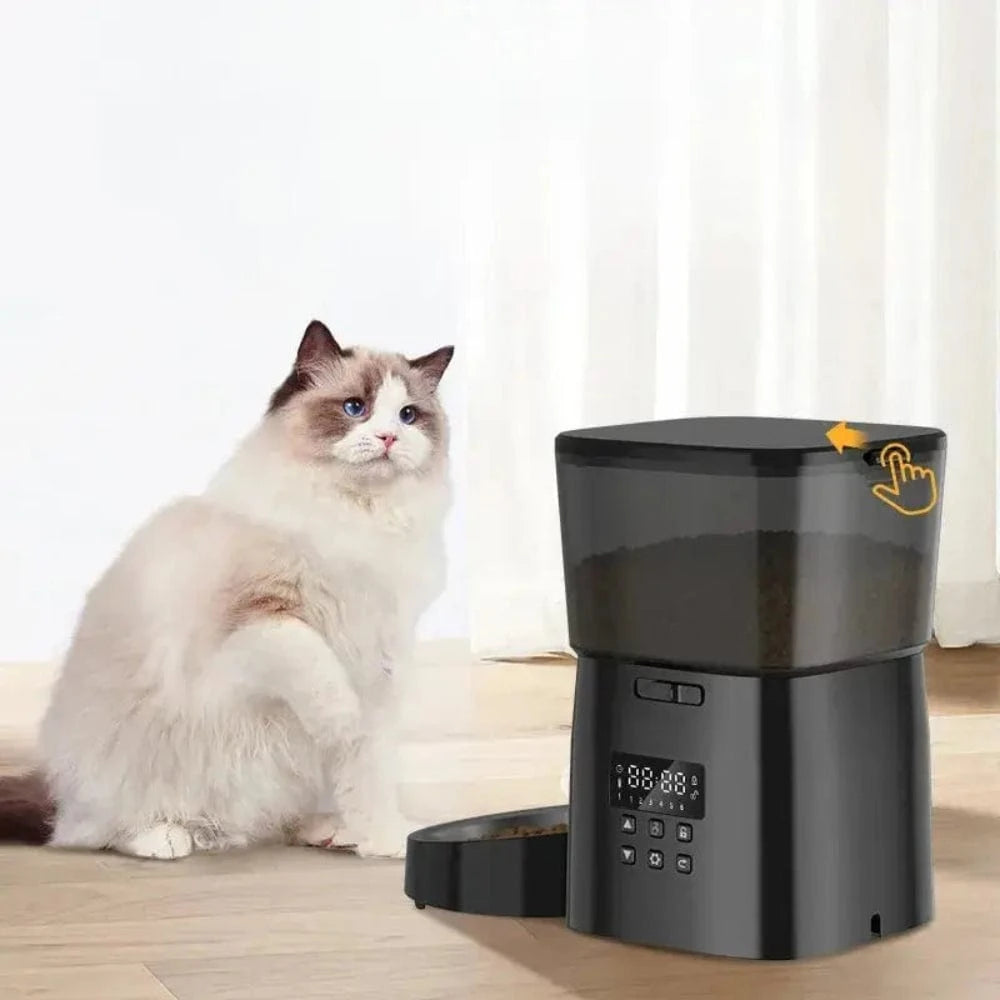 distributeur intelligent pour chat