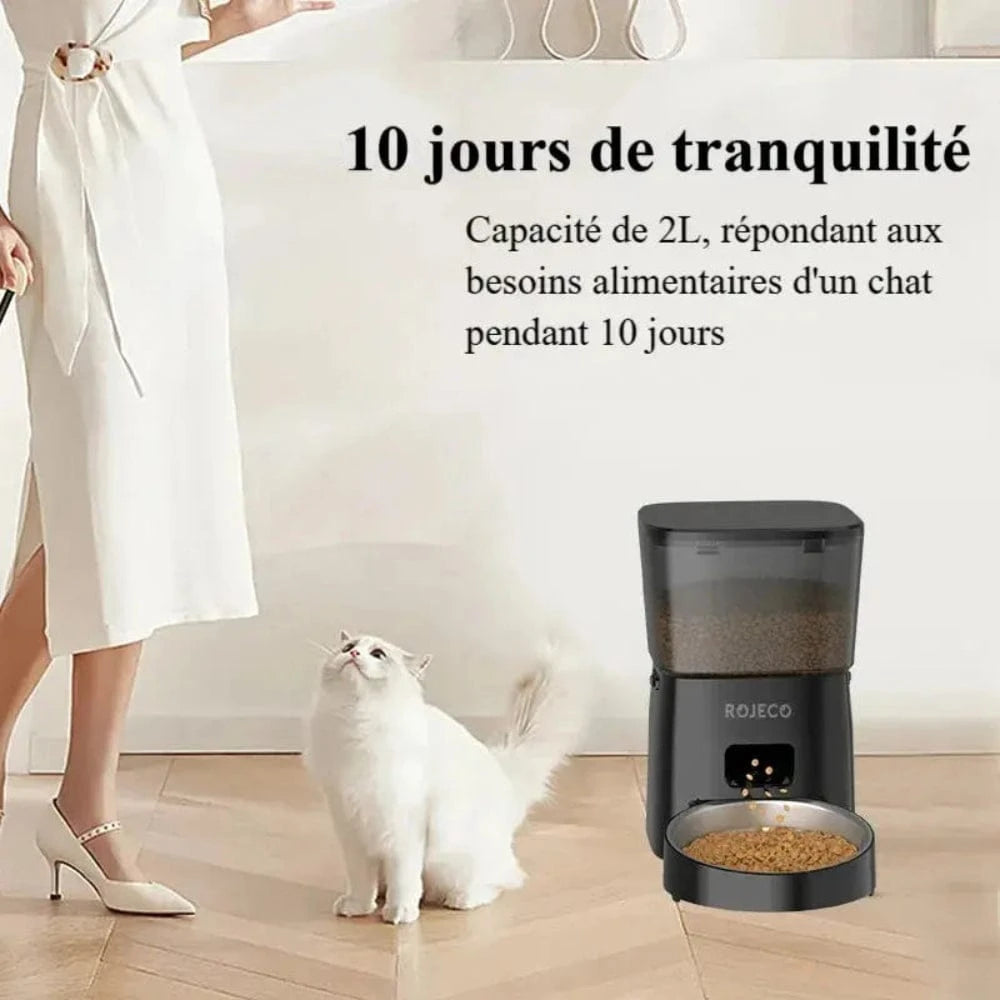 smartmeal pour chat