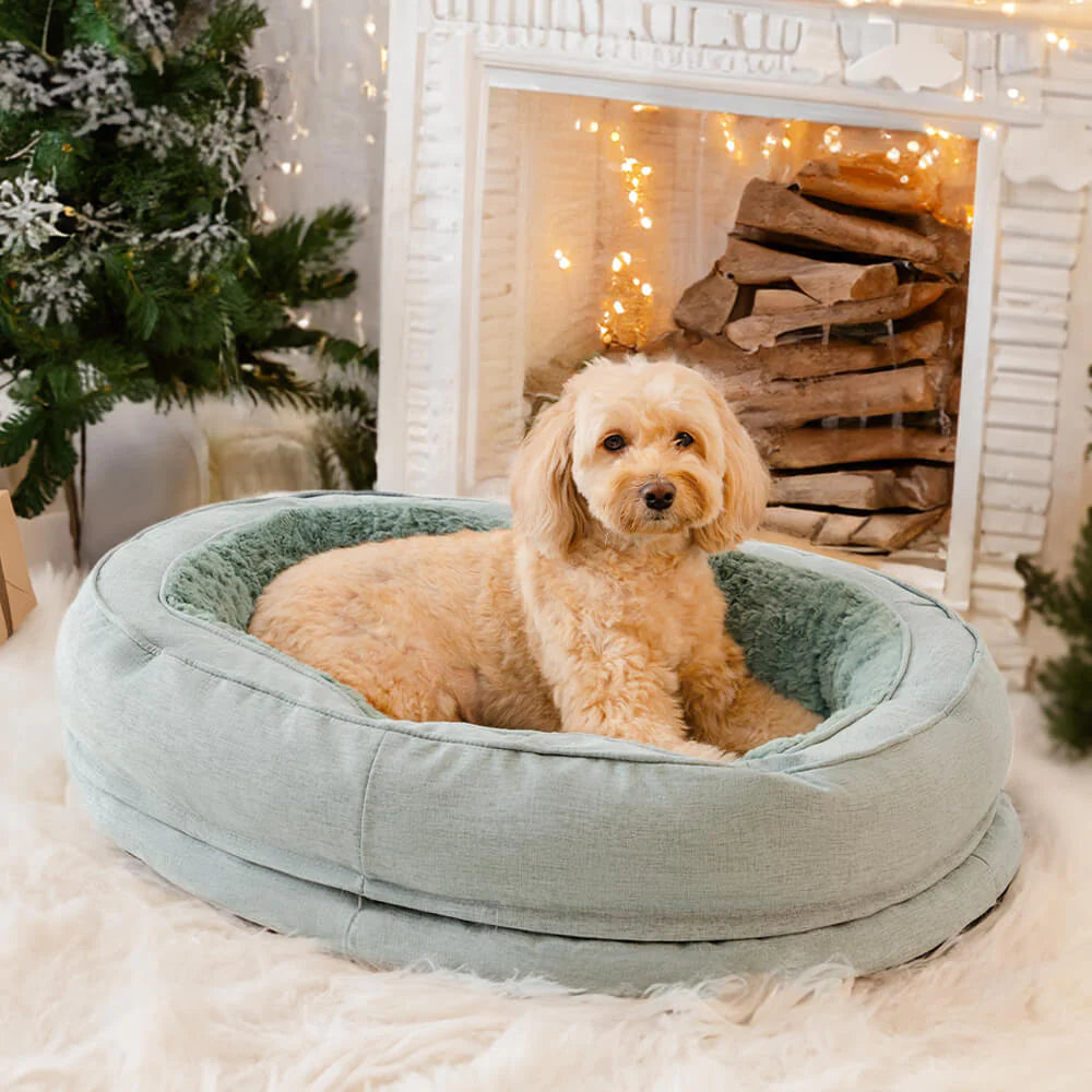 lit cocoon accueillant pour chien