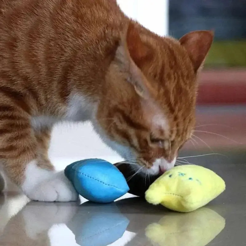 Doudou réconfortant pour chat