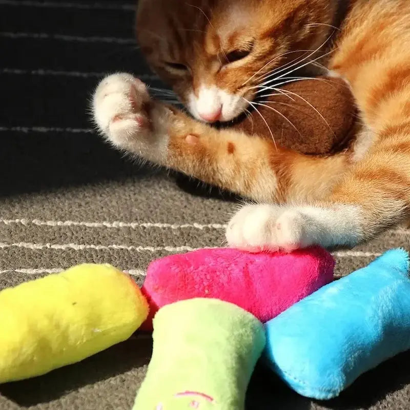 CâlinouCat apaisant