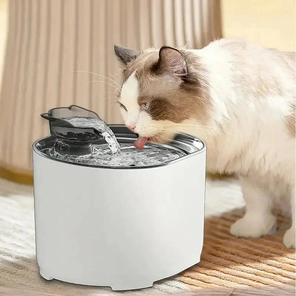 Fontaine à eau chat design 2L