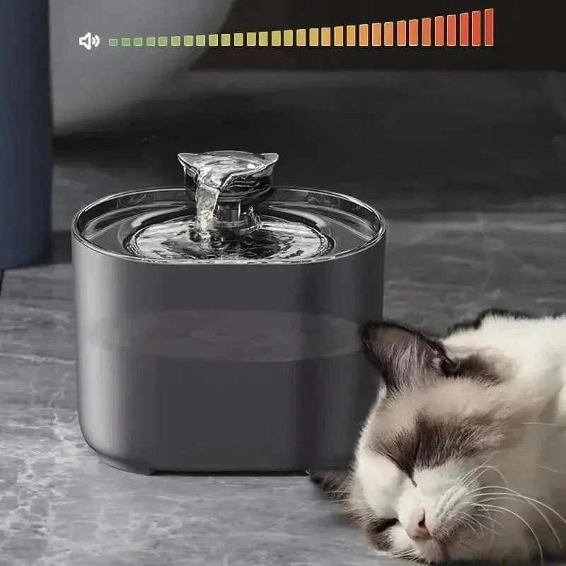 UrbanFlow pour chats