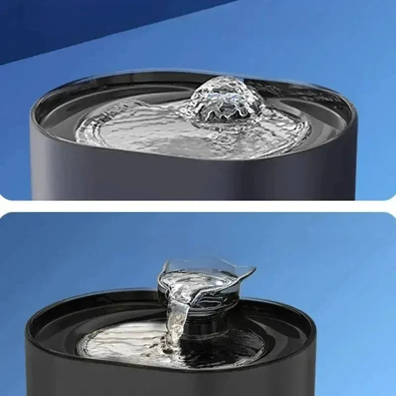 Eau fraîche pour chats en appartement
