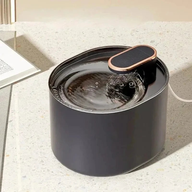 système de filtration chat