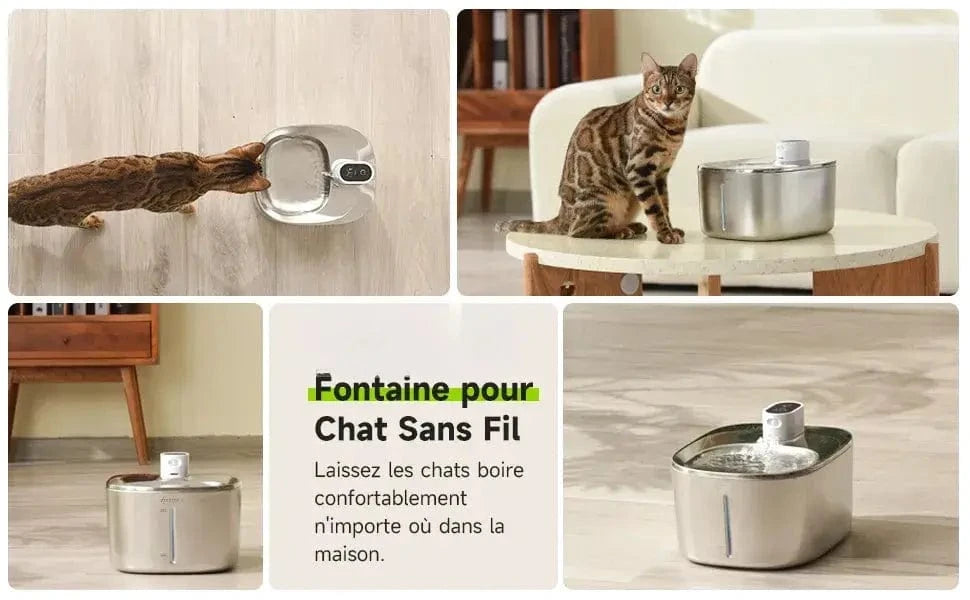 fontaine à eau chat design moderne