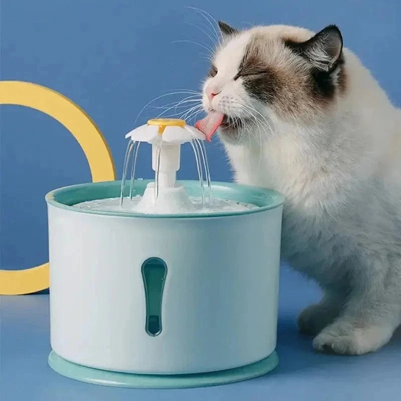 fontaine à eau chat PetalFlow