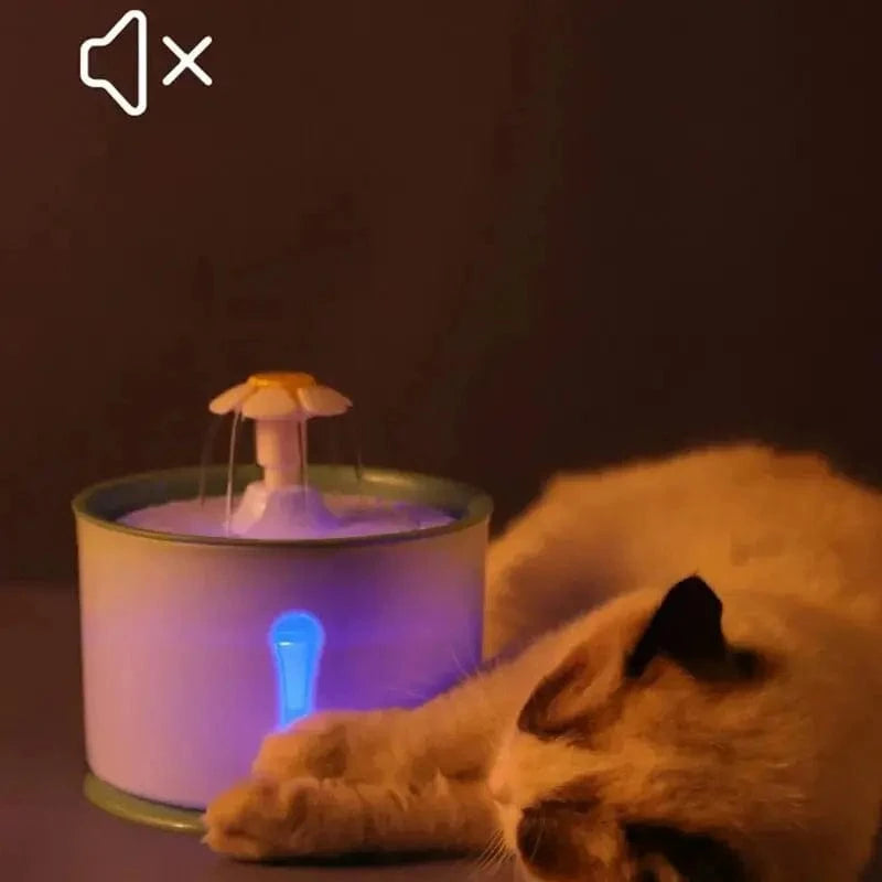 hydratation chat fleur PetalFlow