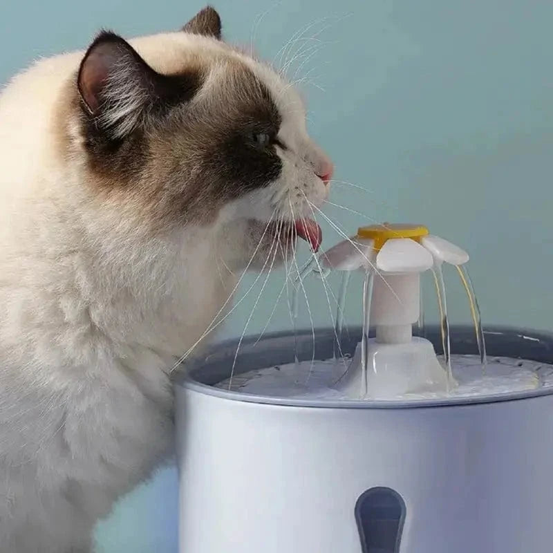 fontaine fleur chat PetalFlow