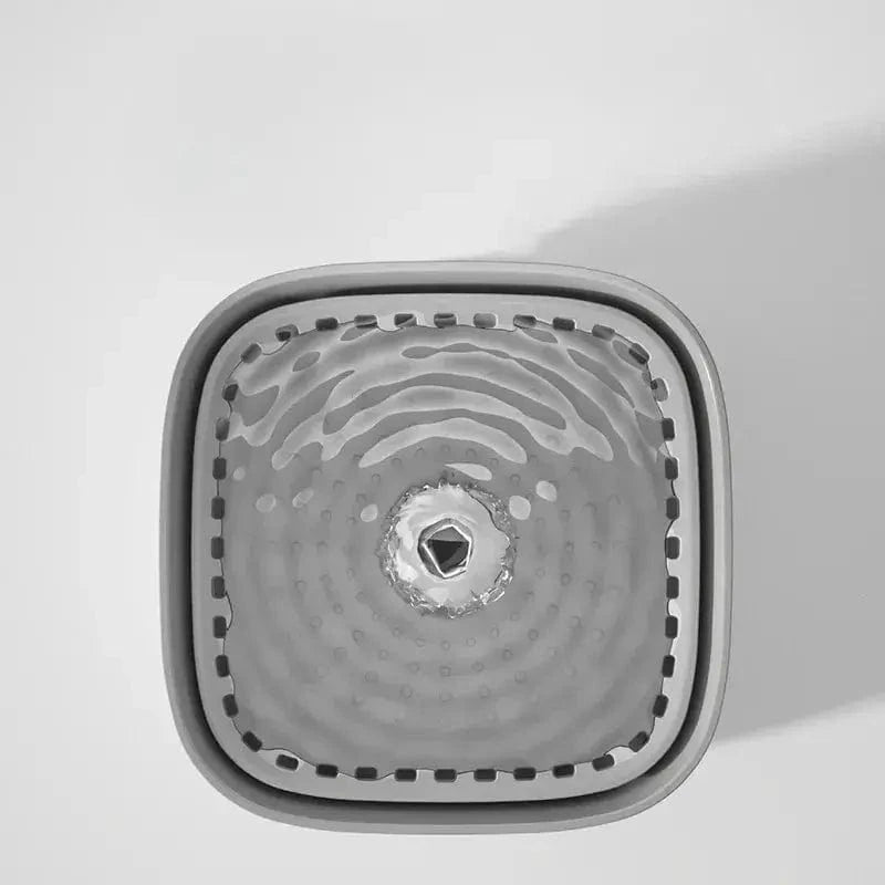 eau filtrée pour chat