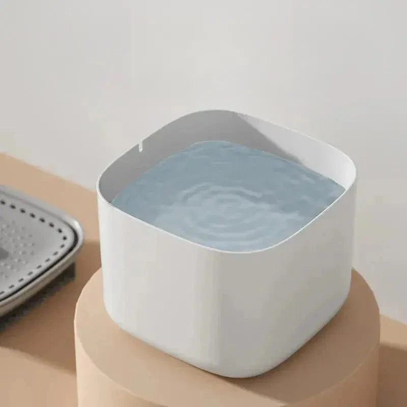 fontaine chat design