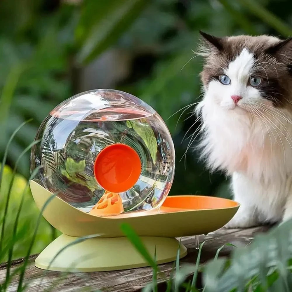 fontaine à eau chat style escargot