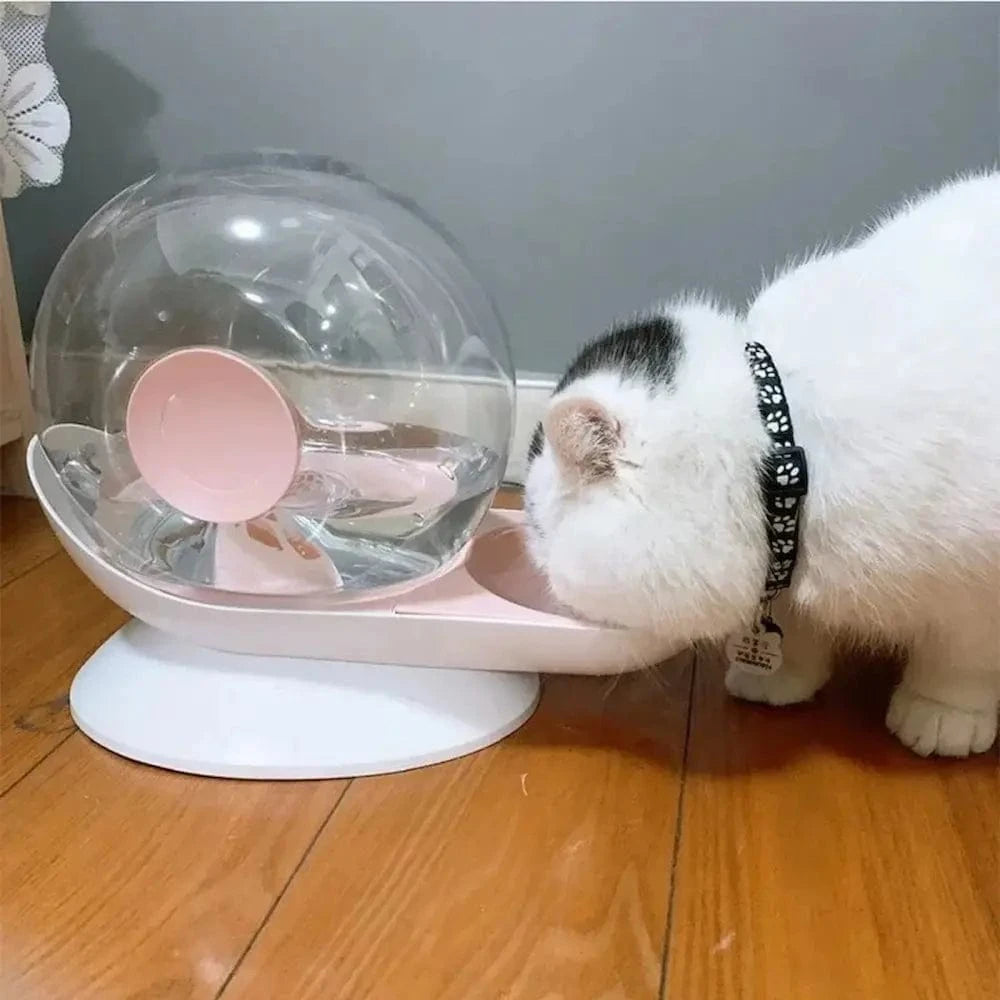 fontaine à eau pour chat SnailFlow