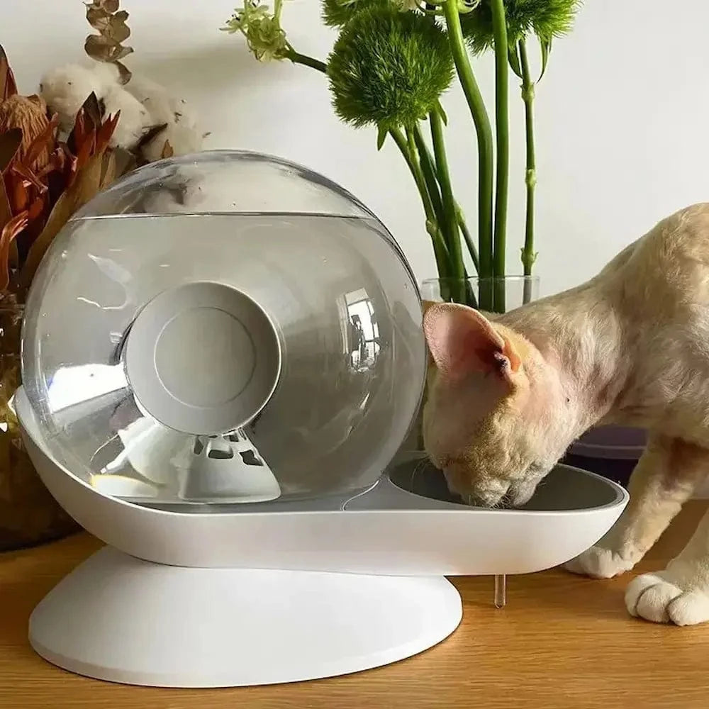 design ludique fontaine chat escargot
