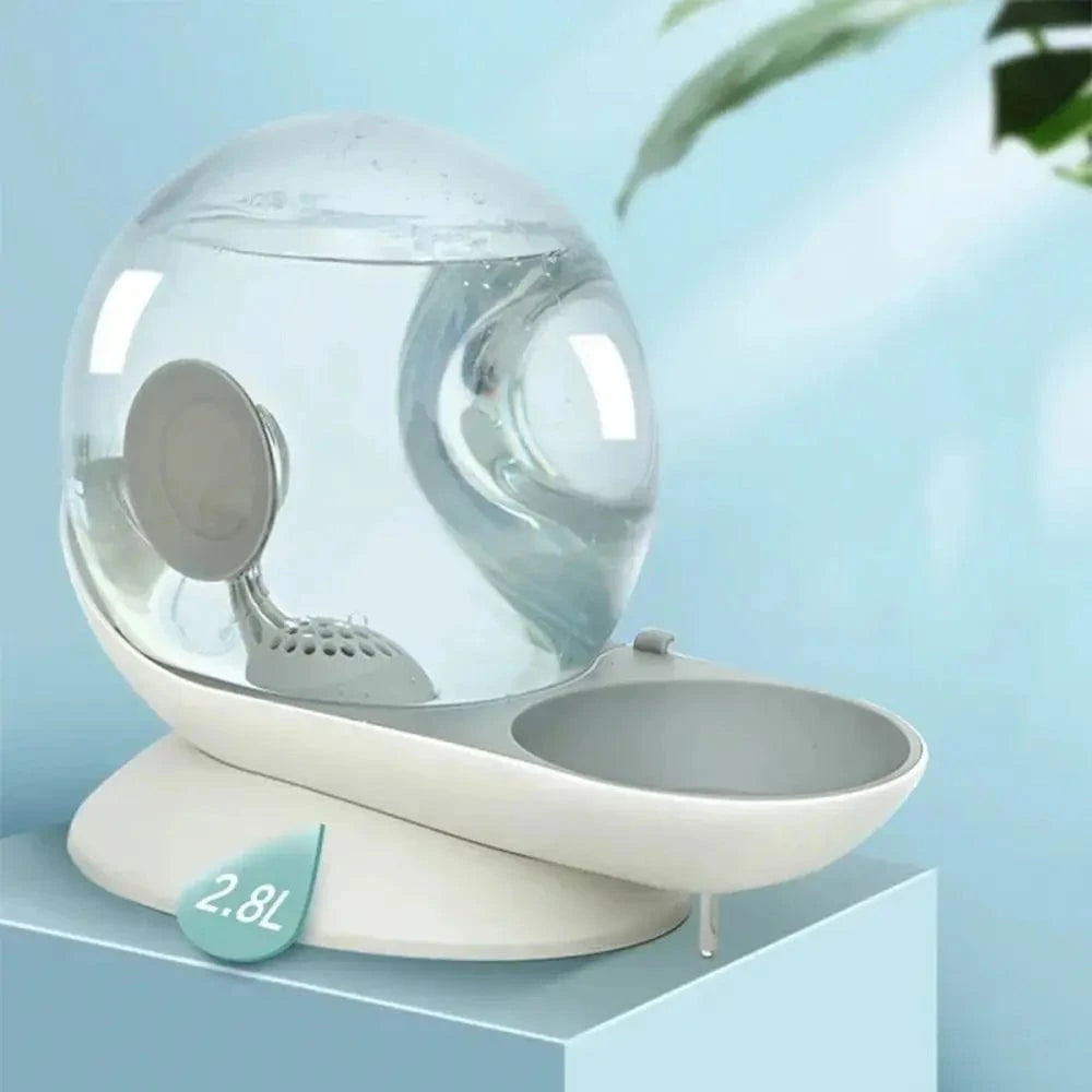 hydratation optimale fontaine escargot