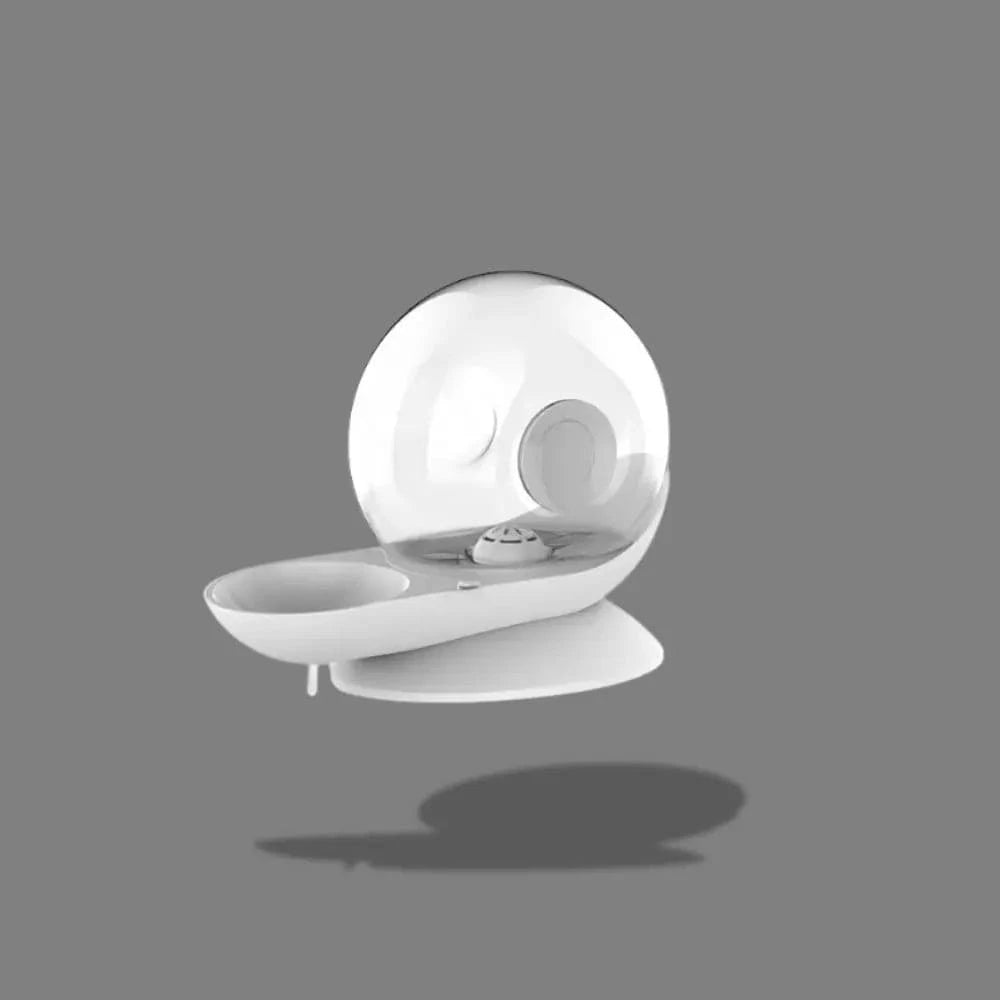 fontaine design escargot pour chat