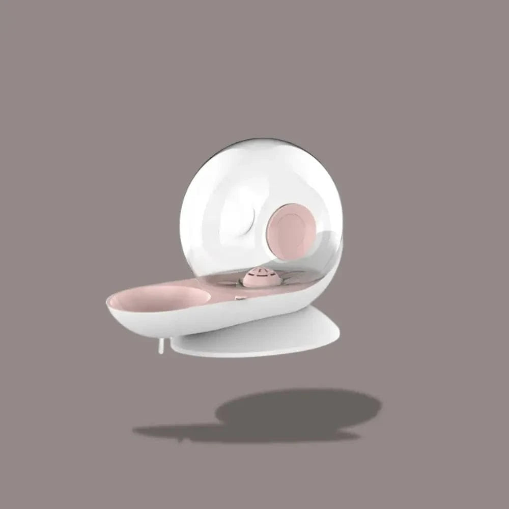 innovant fontaine chat escargot
