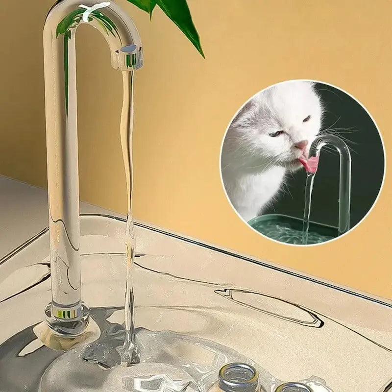 hydration pour chat clearflow
