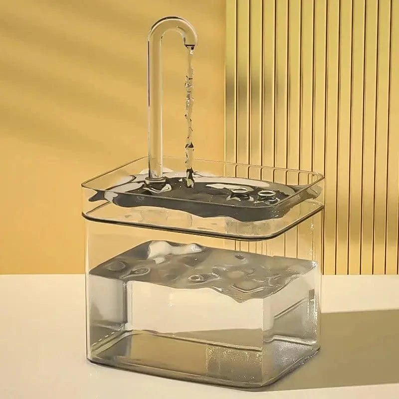 système d'eau transparent chat