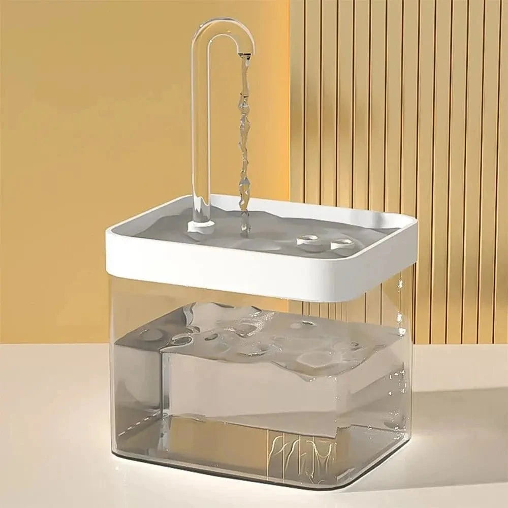fontaine à eau design transparent