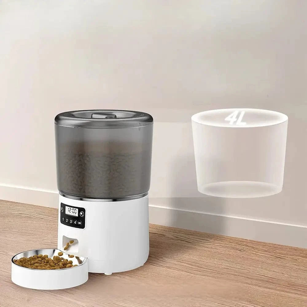 Repas réguliers pour chat