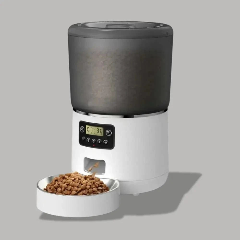 Distributeur automatique Croqibox