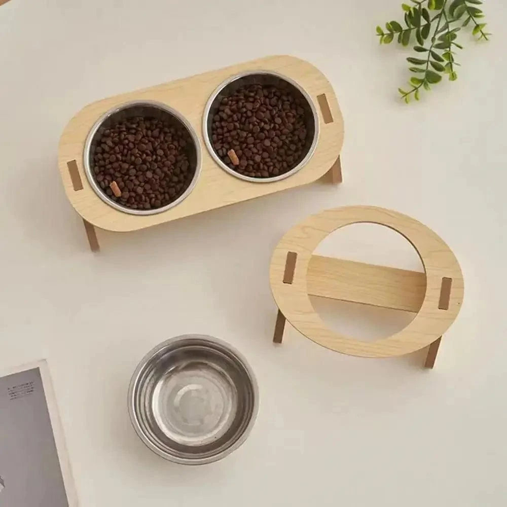 chat mangeant dans LiftBowl