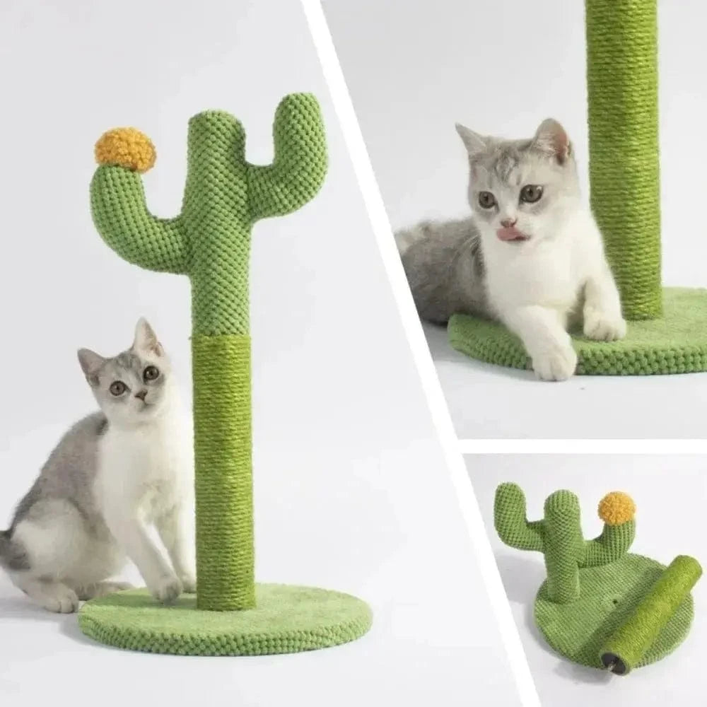 cactus pour chat