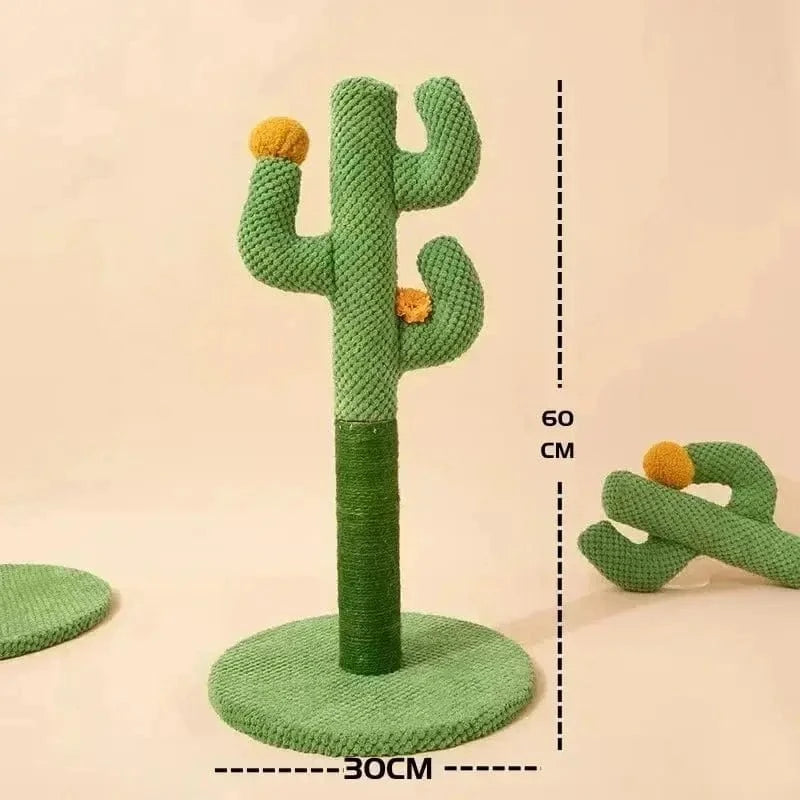 cactus ludique pour chat