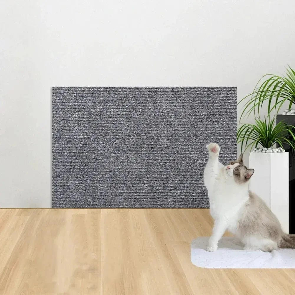 Solution gain de place chat