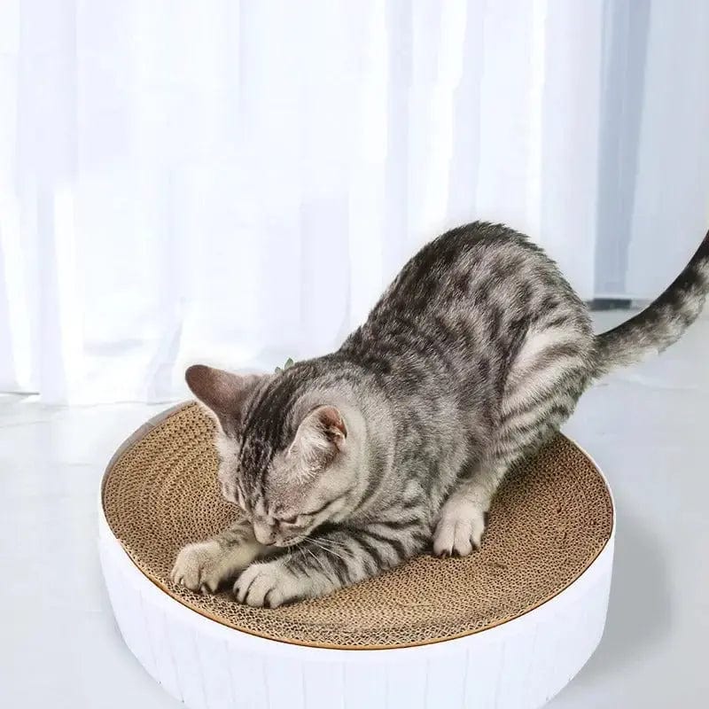 griffoir naturel chat