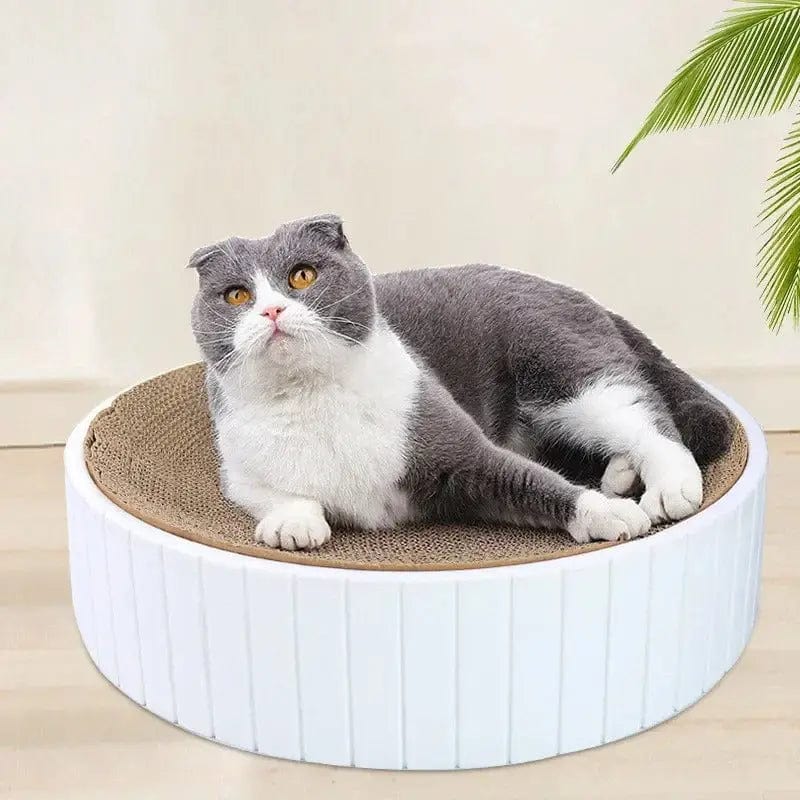 design griffoir chat