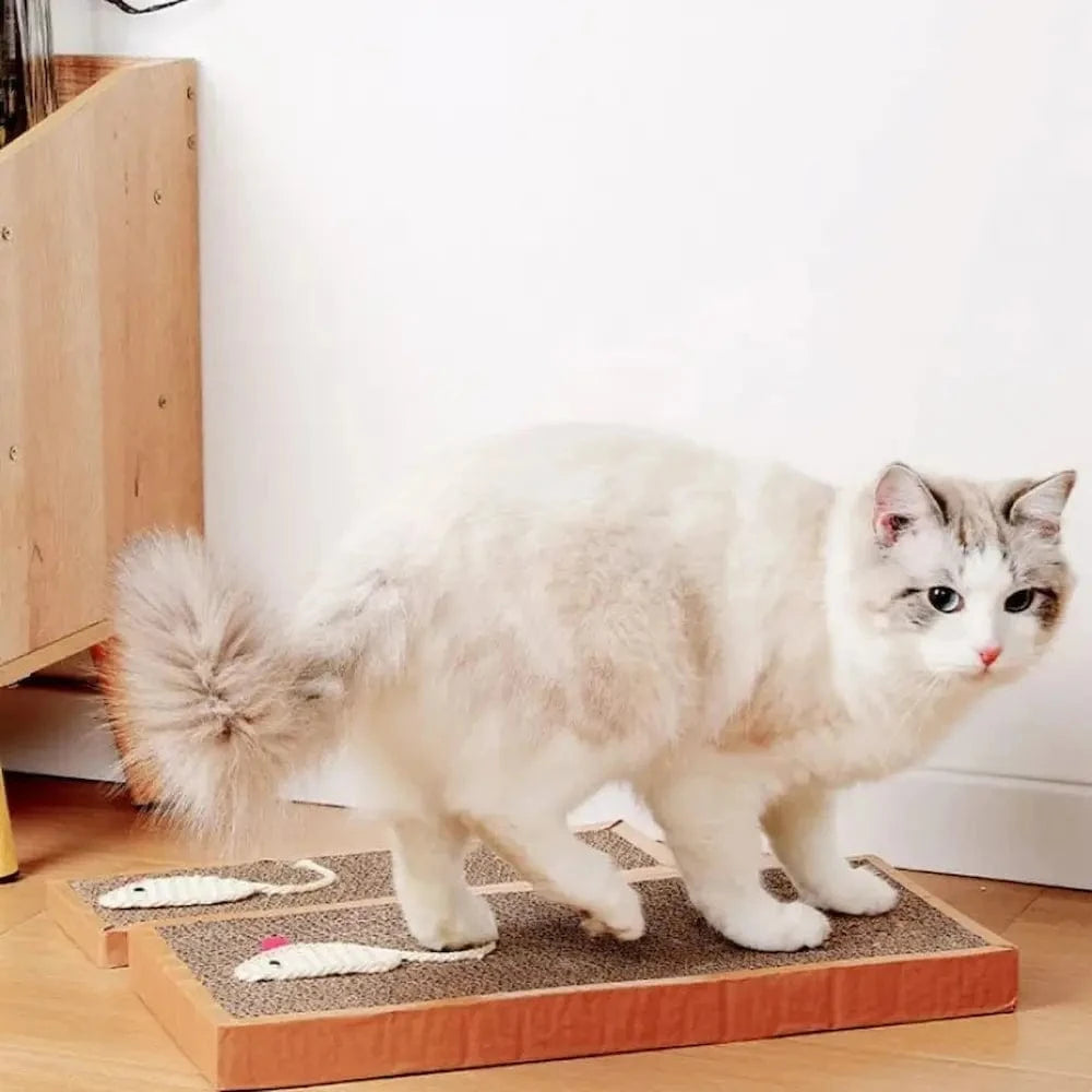 Griffoir ludique pour chat