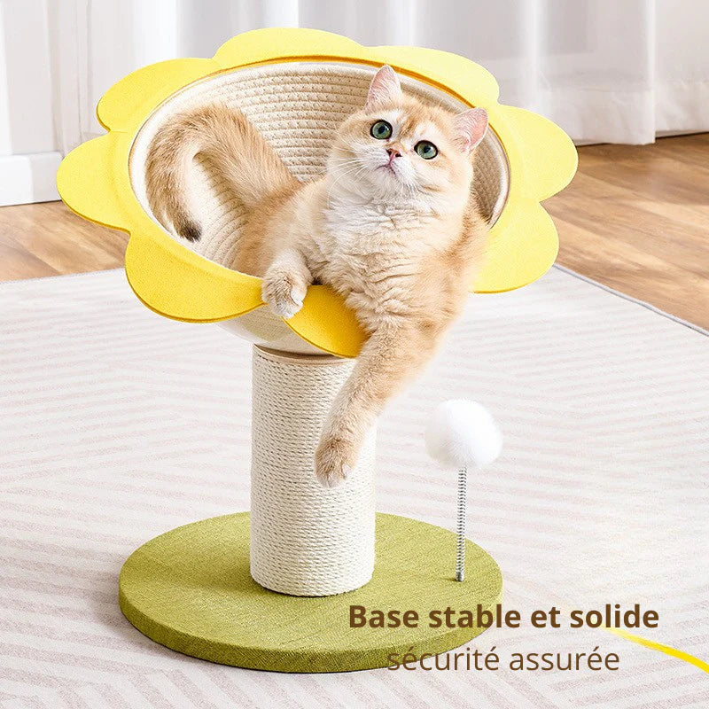 griffoir durable Nekko