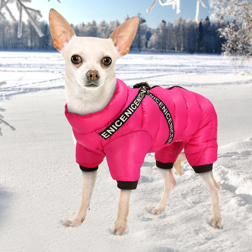Manteau Chien Imperméable Hiver 4 Pattes - Doudoune Chaude Petit Chien Chihuahua Premium – Image 5
